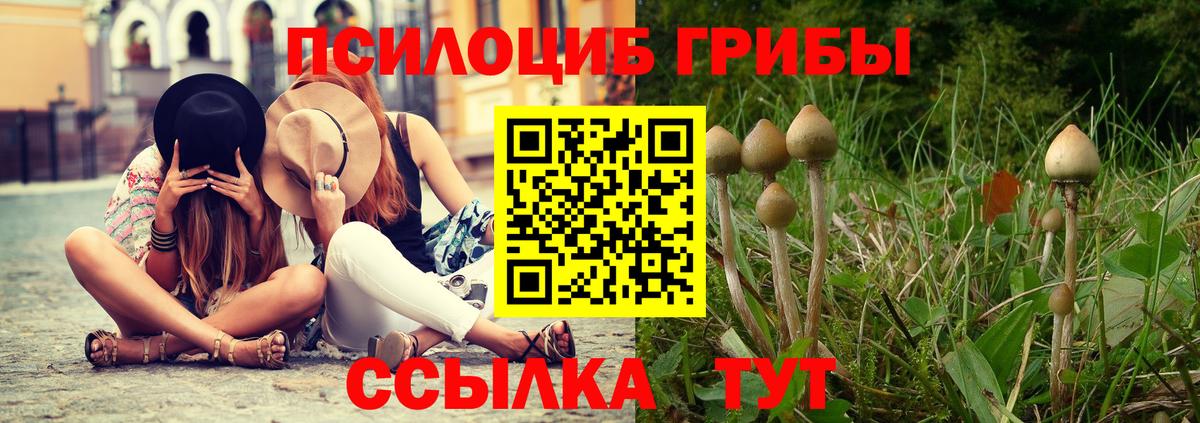 Псилоцибиновые грибы Cubensis  Псилоцибиновые грибы Psilocybe  Вход с VPN  где найти   Нижневартовск 